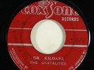 Skatalites/Delroy Wilson 