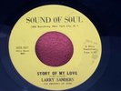 ?Hear? VG+ LARRY SANDERS 
