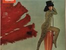 Super Standard Pops Amazing Leopard Skin Body Suit Sexy Cheesecake Model Japan