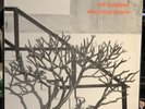 Ed Kuepper - Electrical Storm LP (Excellent Condition)