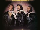 Bee Gees Children Of The World VINYL LP NEW (26TH JUNE)