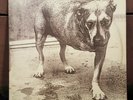 Alice In Chains Self Titled Vinyl Record Lp 1995 Original 1st Press US Version