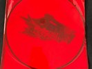 Alice In Chains - The Devil Put Dinosaurs Here 2xLP Vinyl 2013 LP RARE NEW