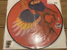 David Bowie - The Man Who Sold The World 12 Inch Picture Disc Vinyl RSD