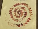 The Chameleons - Auffuhrung In Berlin - Vinyl album