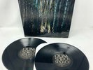 Dir En Grey - Dum Spiro Spero (2 vinyls)