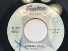 The Quest’s Scream Loud FENTON RECORDS Rare 45 Psychic Combined shipping