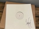 Petals for Armor VINYL Rare Test Press Signed by Hayley Williams PARAMORE - NR