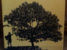 In Between Dreams by Jack Johnson (Vinyl, Mar-2005, Universal Distribution)