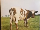 Pink Floyd,Atom Heart Mother, HARVEST, SHVL 781, 33 1/3