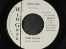 ANDRE WILLIAMS: Loose Juice / Sweet Little Pussycat 45 (dj) Soul