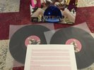 Lady Gaga Artpop Vinyl Double LP RARE FIRST PRESSING mint Like New