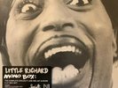 Little Richard Mono Box Complete Specialty Vee-Jay Albums NEW SEALED 5 LP VINYL