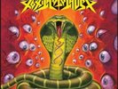 ID4z - TOXIC HOLOCAUST - CHEMISTRY OF CONSCIO - vinyl LP - New