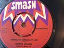 DELROY WILSON / Trying To Wreck My Life - Excellent Plus