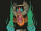 Choose Your Weapon by Hiatus Kaiyote record Vinyl May-2015 side a b c and d