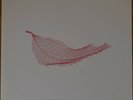 New Order 12”x12 Vinyl Campaign - Subculture (NSER019)