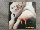 Aerosmith Get A Grip Final Lp