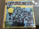 Dropkick Murphys ?– 11 Short Stories Of Pain & Glory blue vinyl - NM/NM