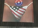 The Black Crowes Amorica White Vinyl Record
