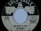 Northern Soul Popcorn Doo Wop 45 PERSIANS Gee What A Girl GOLD EAGLE promo HEAR