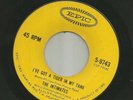 SURF DOOWOP- INTIMATES w LOU REED-  IVE GOT A TIGER IN MY TANK  -HEAR- 1964 EPIC