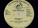 Terri Gonzalez - How Good It Is 12