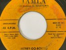 Early Tamla Motown Soul 45/ Eddie Holland 