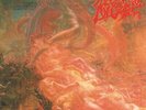 MORBID ANGEL-BLESSED ARE THE SICK VINYL LP NEW