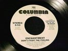 ENCHANTMENT Don't Fight The Feeling RARE SWEET MODERN SOUL DJ PROMO 45 HEAR