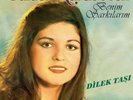 Gülden Karaböcek - Benim ?ark?lar?m / Dilek Ta?? LP Plak