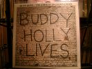 Buddy Holly / The Crickets 20 Golden Greats Buddy Holly Lives LP Sealed