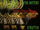THE METERS 