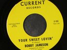 BOBBY JAMESON: Your Sweet Lovin' / All Alone 45 Rock & Pop