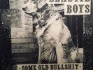 Beastie Boys - Some Old Bullshit -Vinyl LP Grand Royal Records - Punk Rock