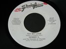 Debbie S.   Try My Love / Beware   Flaming Arrow   Detroit modern soul 45 HEAR