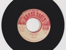 GRASS ROOTS/ MASH DOWN - ROOTS (77 REGGAE ROOTS 7