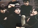 Sorrows, Take a Heart  LP, G /G,Original Pink Piccadilly, Freakbeat,Mod,1966