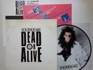 DEAD OR ALIVE - LP - JAPAN - Youthquake - 30-3P-670 - PICTURE