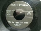 ELLAINE AND THE SHARDELLS TELL ME THAT YOU CARE NORTHERN 45 ON MUSIC FORUM 265