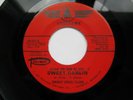 Northern Soul - Jimmey (Soul) Clark - Sweet Darlin - Soulhawk EX- EX+ 45 RPM