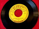 Sun Records 45 Rufus Thomas, Jr #181 Walking In The Rain
