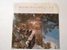 SHADES OF GOSPEL SOUL,COLUMBUS MANN,WRIGHT SPECIALS  VINYL LP M-