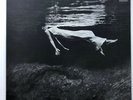 Bill Evans, Jim Hall ?– Undercurrent  Liberty ?– LBJ-60051Japanese Reissue 1984