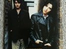 Vinyl 12