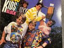 RARE USED LP VINYL PROMO RECORD: New Kids on the Block Self-Titled
