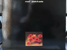 LP 33T - RENAUD  Putain De Camion 1988 -  Virgin ‎– 70600 ( NM / NM )