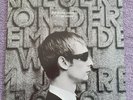 The Divine Comedy - Fin De Siècle - Original UK Album - SET LP057 - Ex/NrMint