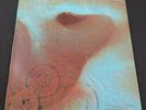 Pink Floyd. Meddle Album