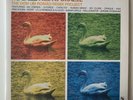 Dom Um Romano - Nu Jazz Meets Brazil-The Dom Um Romao Remix Project - 3LP